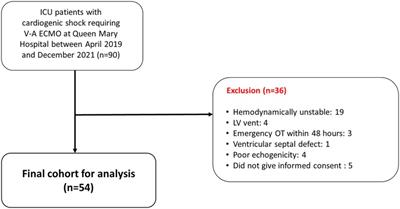 Effects of varying blood flow rate during peripheral veno-arterial extracorporeal membrane oxygen (V-A ECMO) on left ventricular function measured by two-dimensional strain